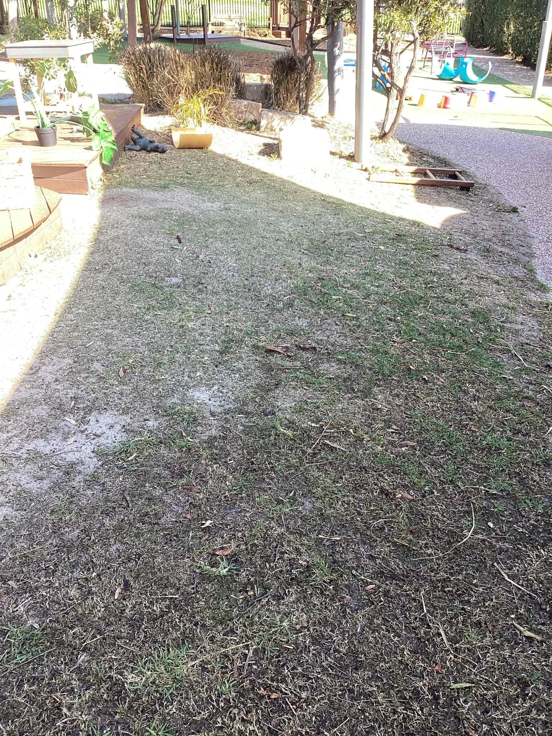 Bare dirt yard with pot plants before the conversion, Gatton
