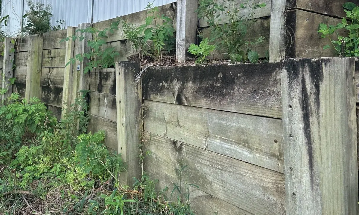Failing timber retaining wall overgrown with weeds before works, Robina