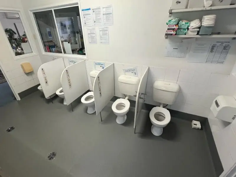 Child-height toilets and partitions in the repaired bathroom